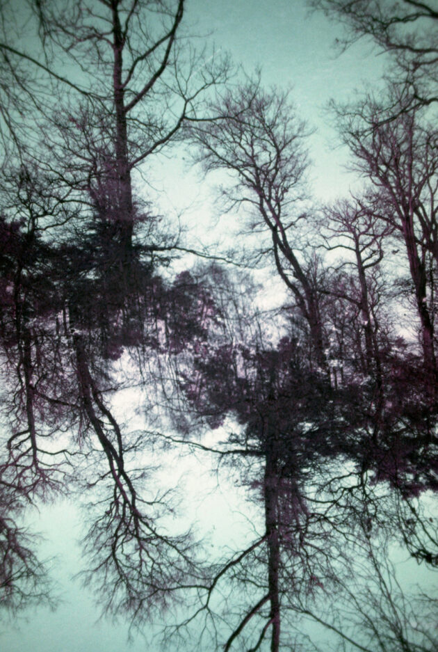 Richard Dreesens artiste photographe promptographe dessinateur art contemporain