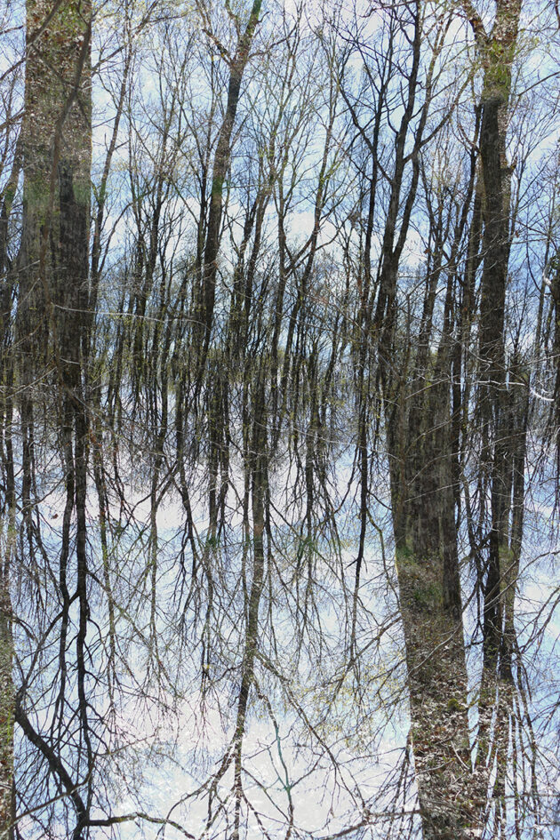 Richard Dreesens artiste photographe promptographe dessinateur art contemporain
