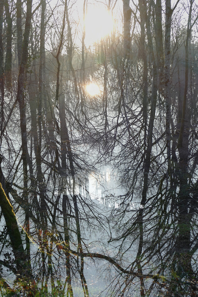 Richard Dreesens artiste photographe promptographe dessinateur art contemporain