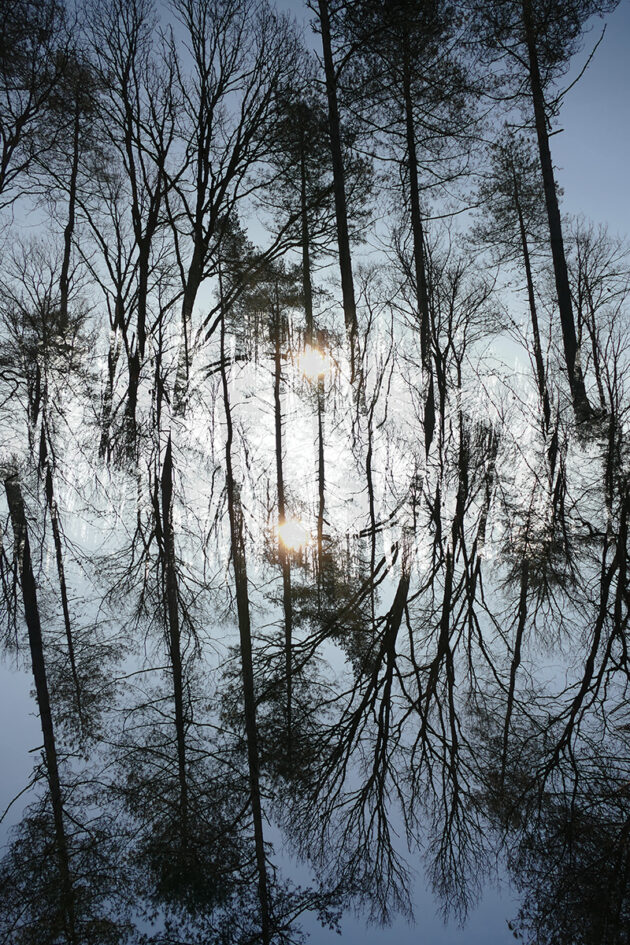 Richard Dreesens artiste photographe promptographe dessinateur art contemporain
