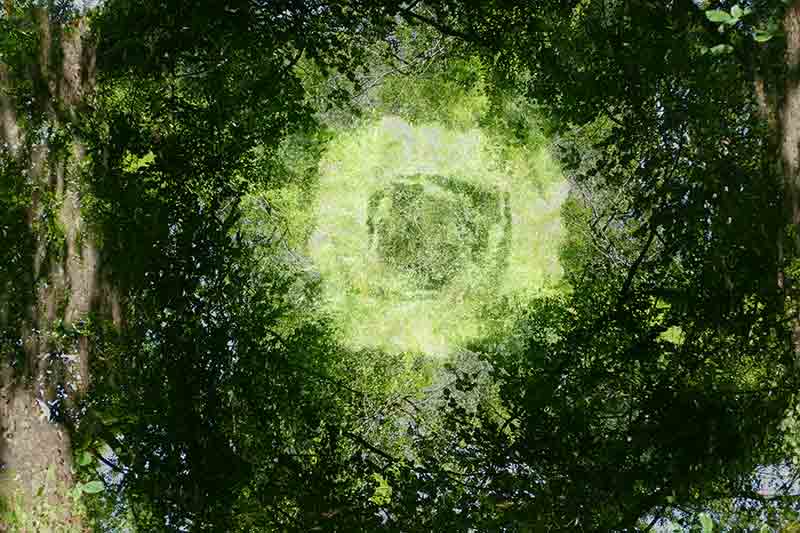 Portal 1040746