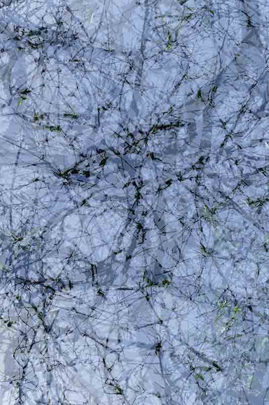Dripping 1050661 Dreesens photographe contemporain arbres nature