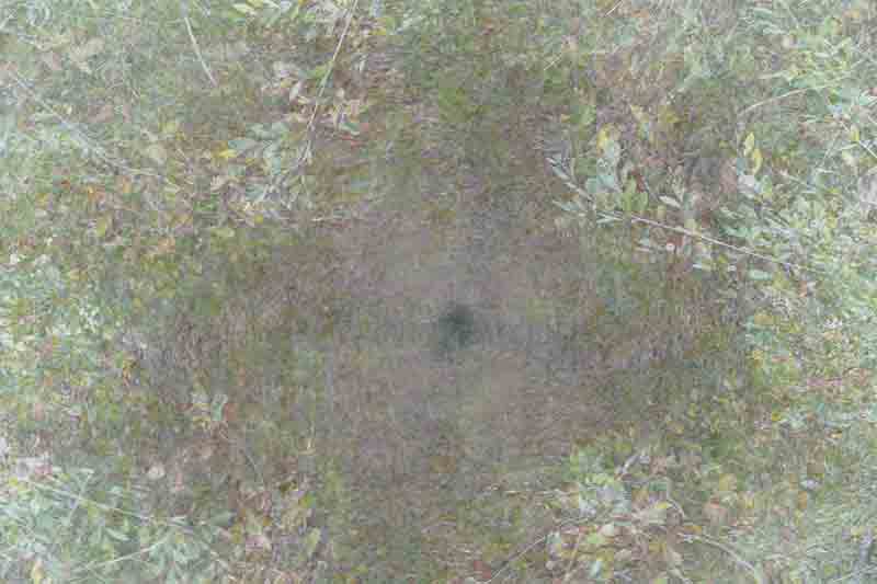 Portal 1050821