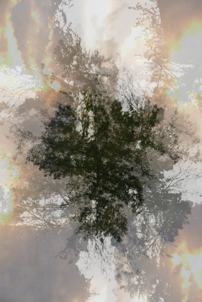 photo Dreesens contemporain