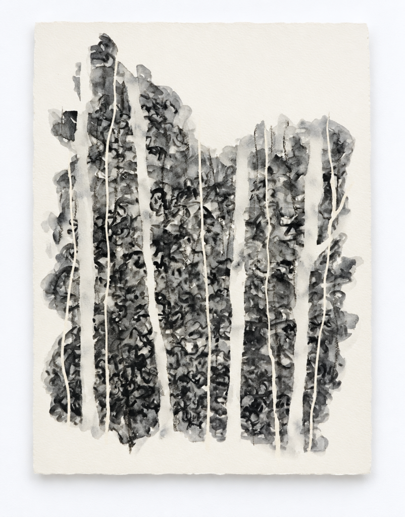 Arbre-Fantome06