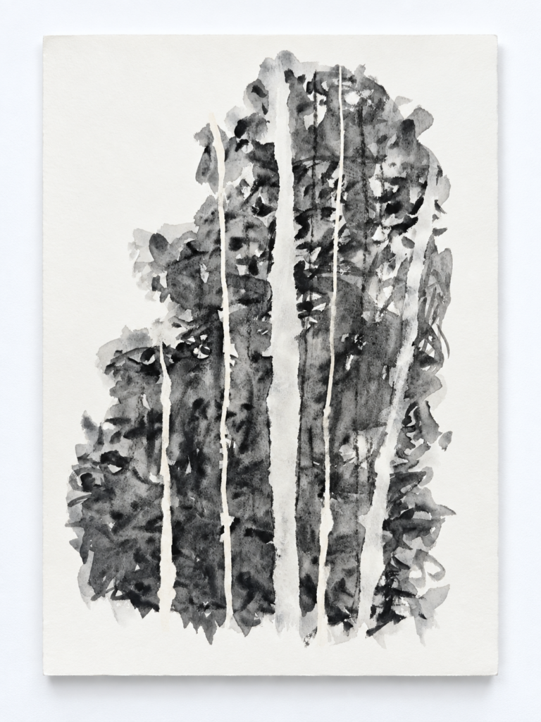 Arbre-Fantome07