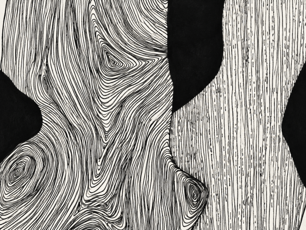 Dessins encre carbone - artiste contemporain français Dreesens