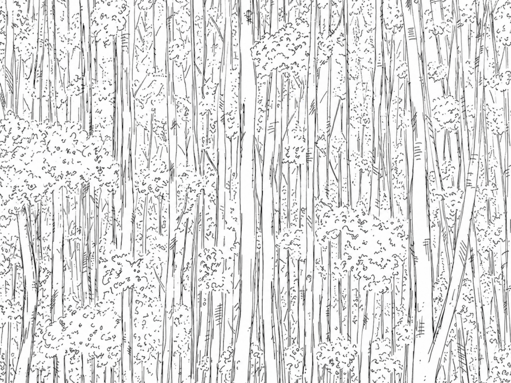 Dessins encre chine - artiste contemporain Français Dreesens