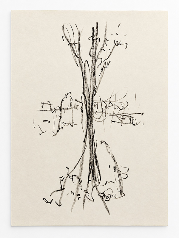 dreesens dessin encre forêt tronçais